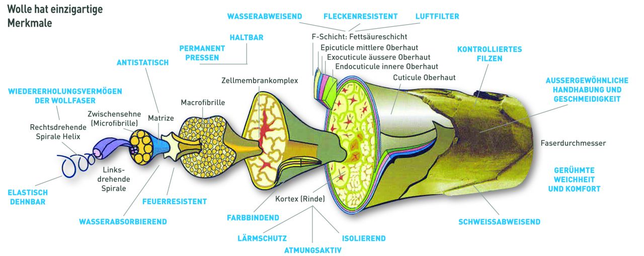 Wolle Eigenschaften einzigartige Merkmale